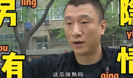 近期吃瓜爆料新闻事件视频,视频爆料背后的真相与争议